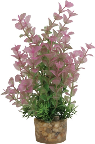 Zolux Ornament pastic plant op stenen diverse soorten