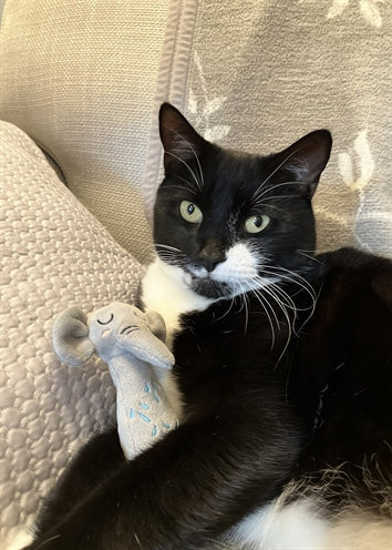 Palissander Grijpspeelgoed olifant met ratel milieuvriendelijk gerecycled