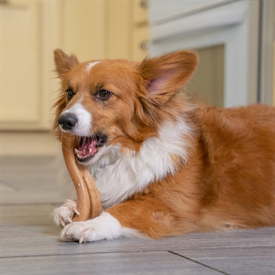 Petstages kornoelje flip chew