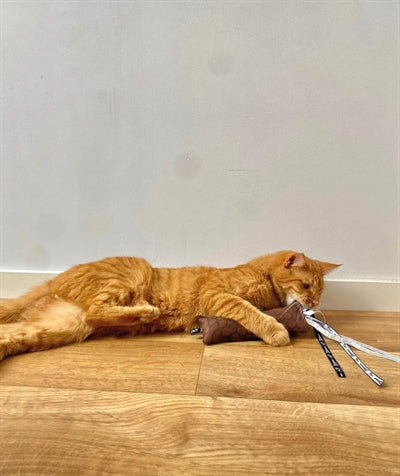 Martin kattenspeelgoed estelle kussen met kattenkruid gerecycled assorti