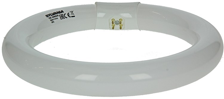 Sylvania 1044510 - tl lamp circlin 22w koud wit 840 | 3 stuks