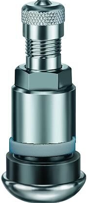 Reinheimer metalen ventiel tire valve