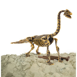 Dinobasis dinobasis dino uitbikken brachiosaurus 3d set
