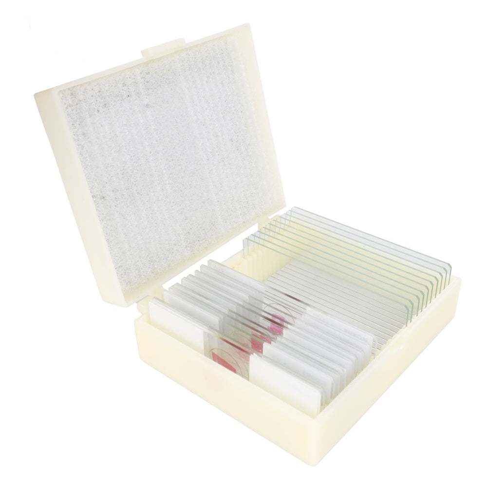 Konus Preparatenset Biologie Onderwijs 2 (10 Stuks)