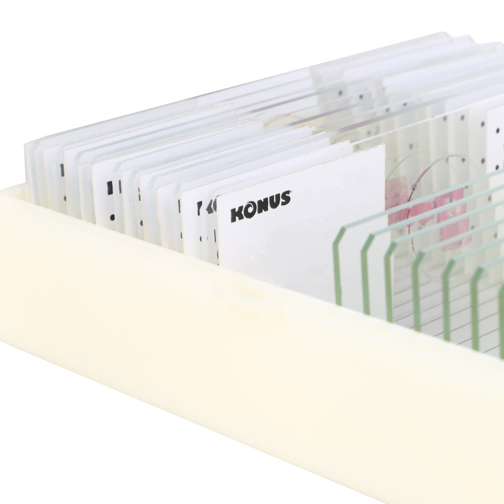 Konus Preparatenset Biologie Onderwijs 2 (10 Stuks)