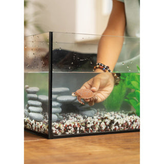 Schleich WILD LIFE Karetschildpad 14876