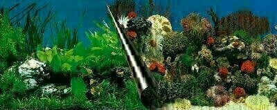 Ebi foto achterwand steen+koraal