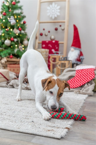 Trixie kerst flostouw zuurstok
