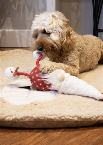 Cupido-komeet gonk kerstkabouter greg