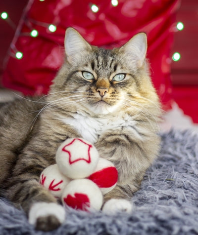 Cupido komeet wollen ballen
