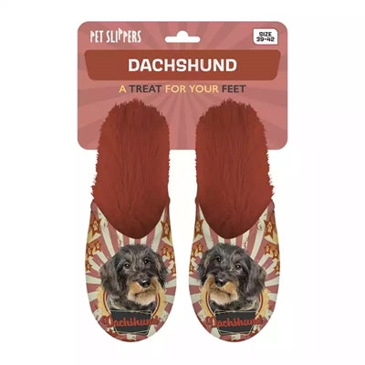 Pantoffel teckel teckel oranje