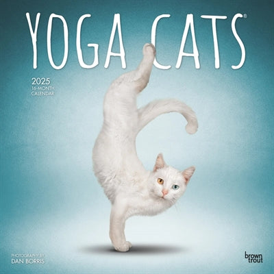 Kalender yoga katten 2025