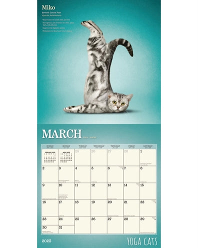 Kalender yoga katten 2025