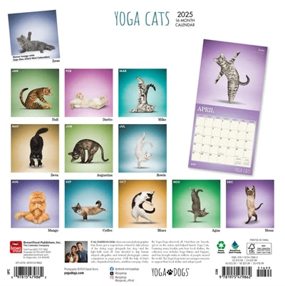 Kalender yoga katten 2025