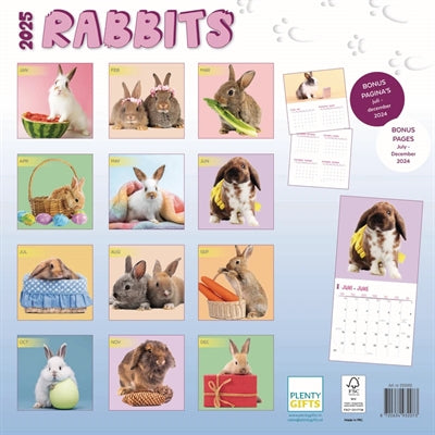 Kalender konijnen studio 2025