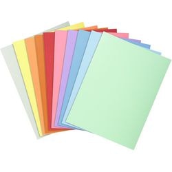 Sorteermap exacompta 330000e karton kleurenassortiment