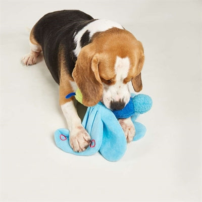 Fofos jumbo vlinderblauw