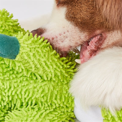 Fofos stoere hond alligator