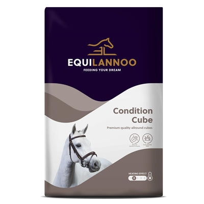 Equilannoo conditie kubus