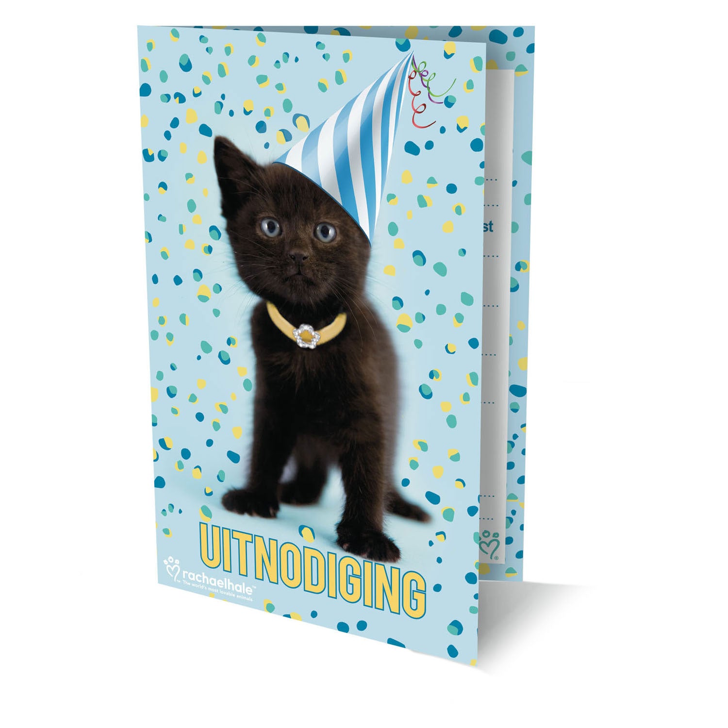 Uitnodigingen rachel hale kat, 6st.