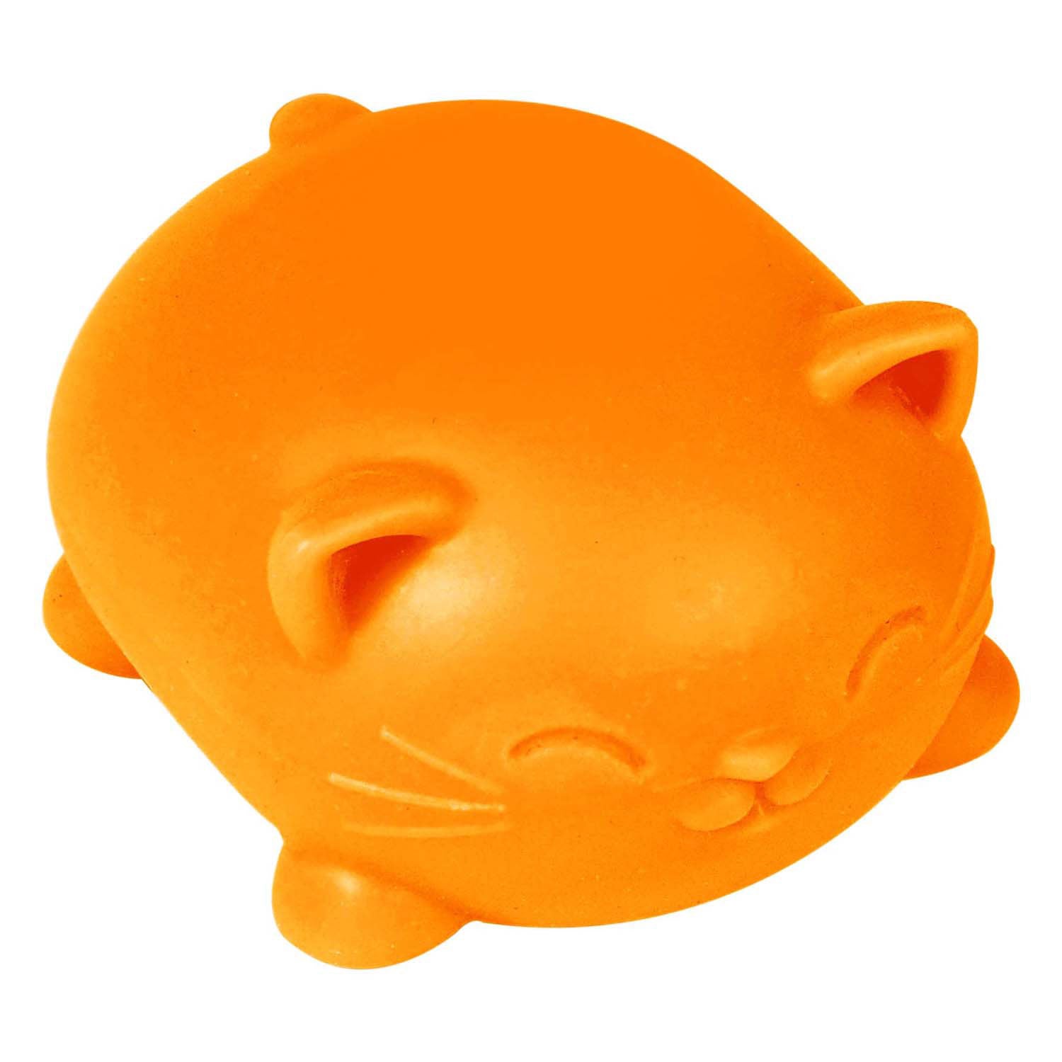 Boti needoh coole katten kat