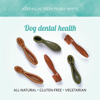 Antos Gemengde kwast