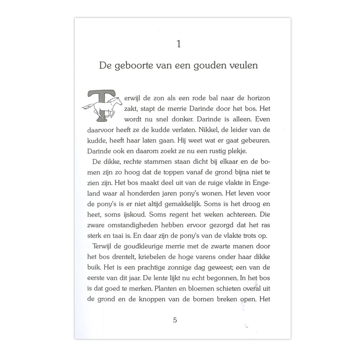 Kluitman gouden paarden: aurea de wilde pony