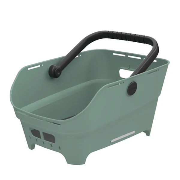 Basil mand cento neo wsl mik