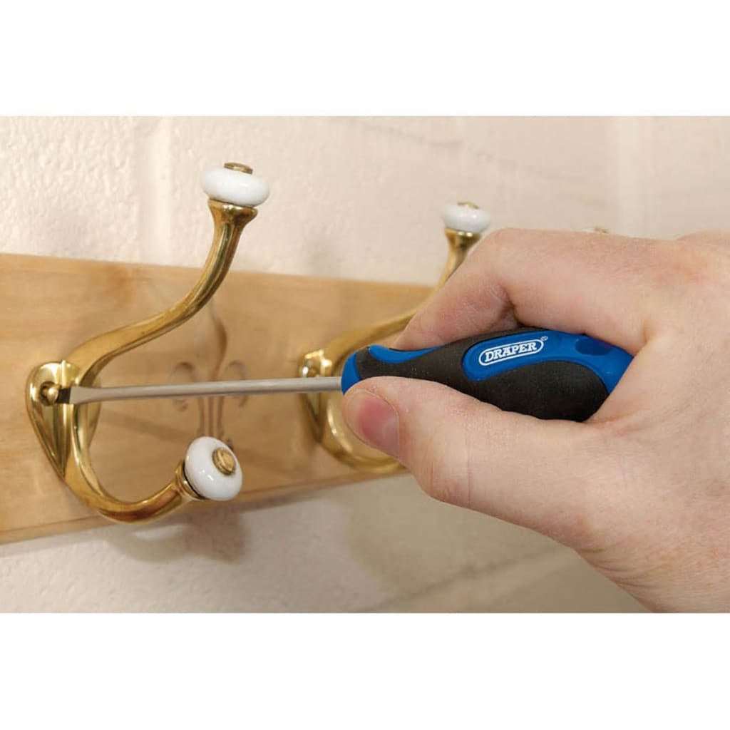 Draper gereedschap schroevendraaierset 19-dlg blauw 09548