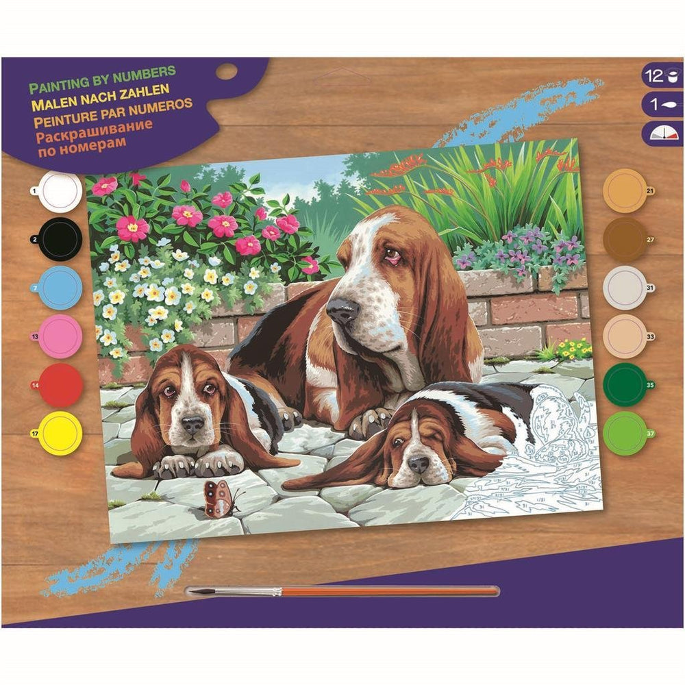 Basis schilderen op aantal bassethonden