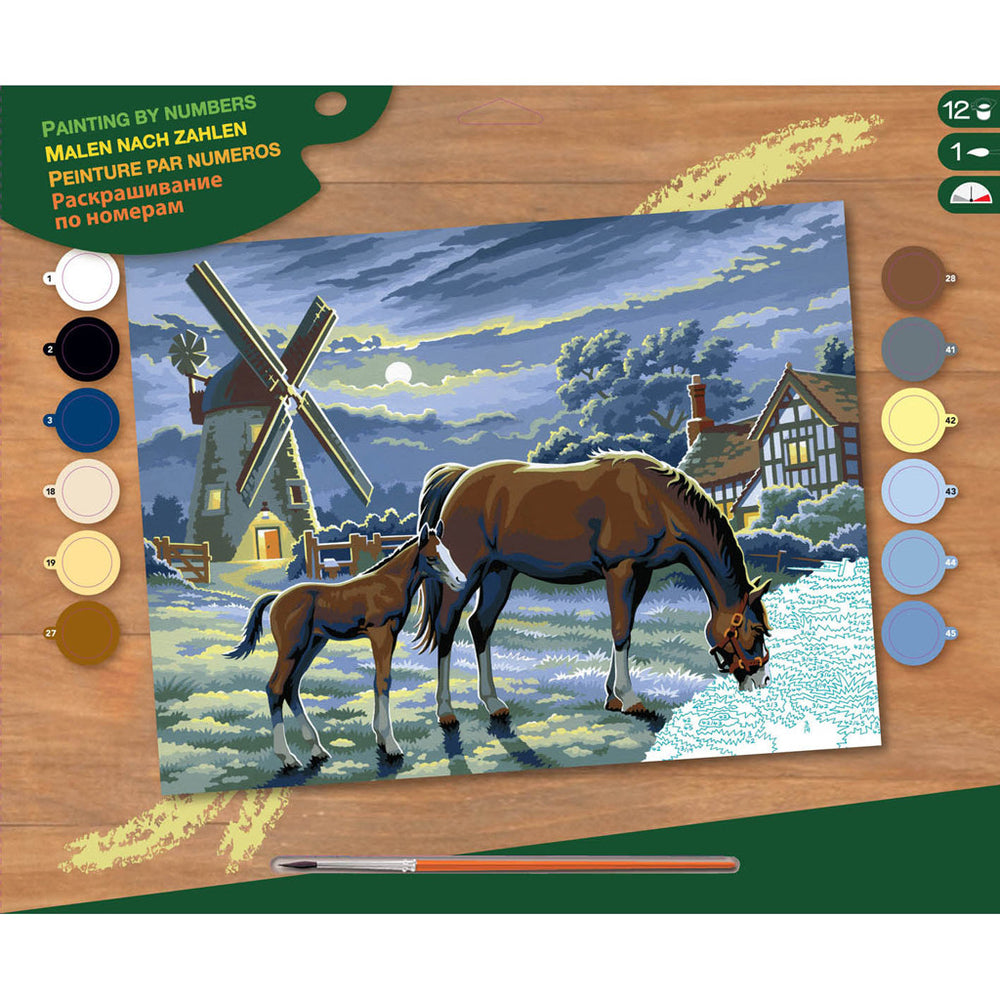 Basis Schilderen Op Nummer Paarden