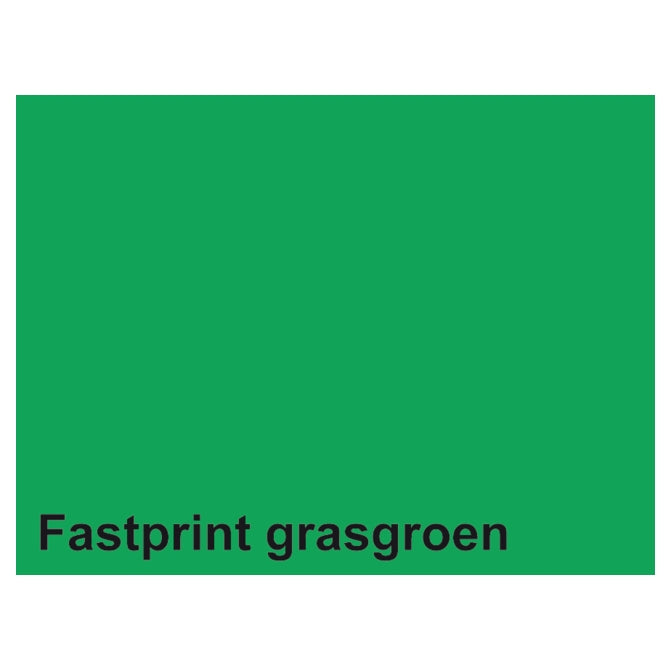 Quantore kopieerpapier fastprint a4 160gr grasgroen 50vel