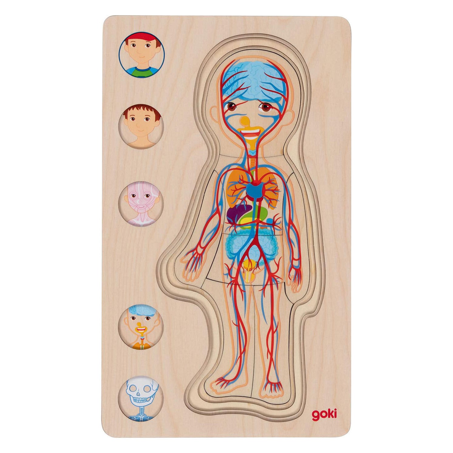 Goki Wooden Layer Puzzle Human Body Boy, 29 pcs.