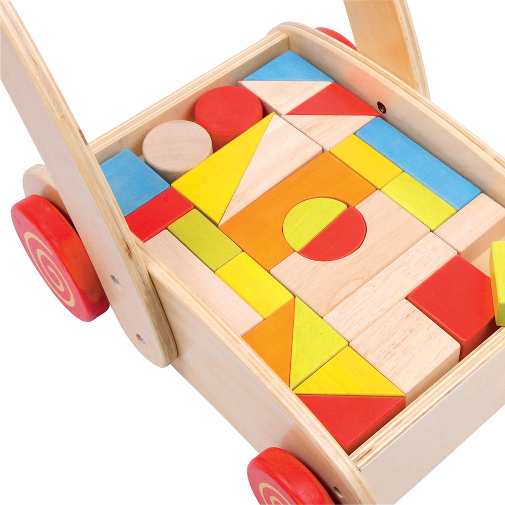 Small foot - walk-along building blocks