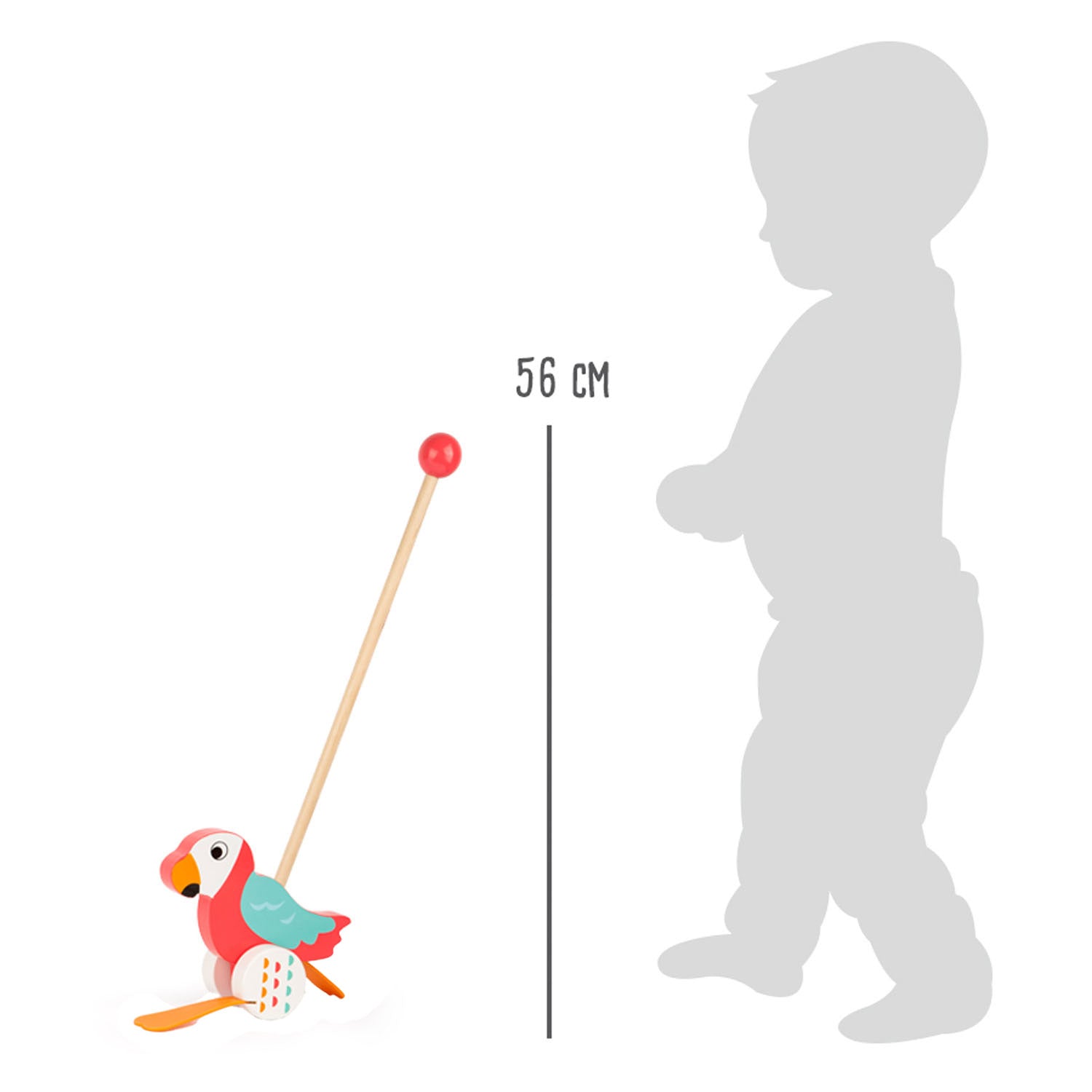 Small foot - wooden push toy lory parrot with stick