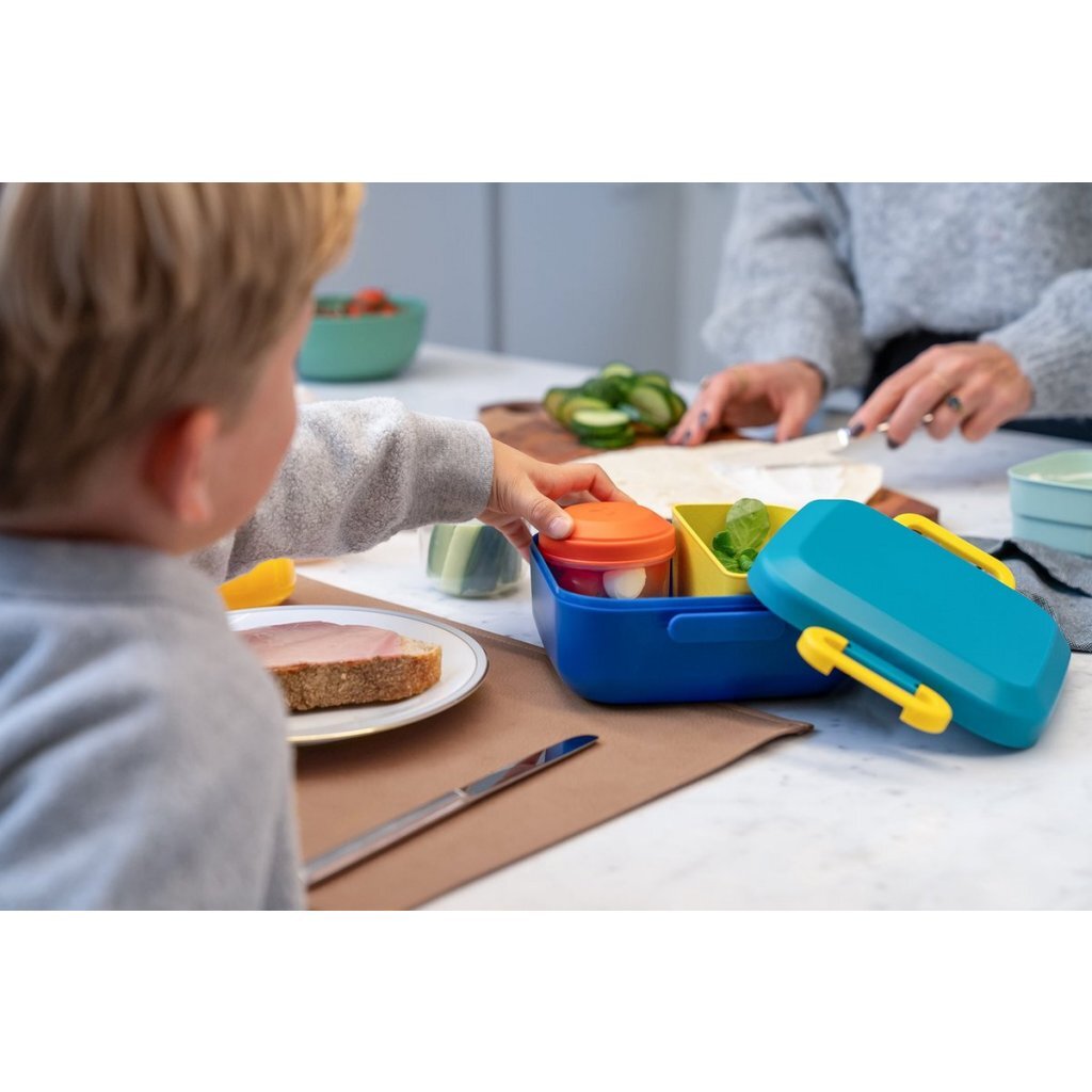 Amuse lunchbox rikko divider en 2 snack lagune