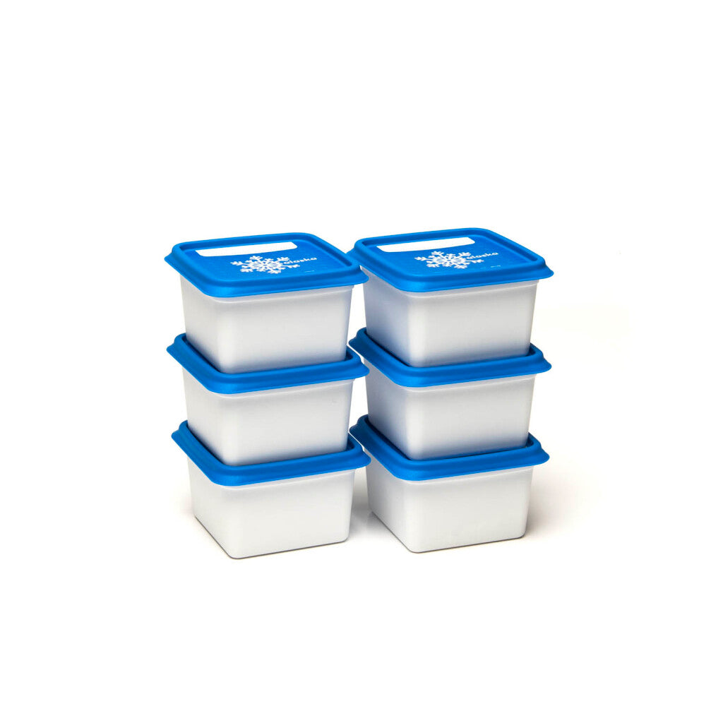 Dbp alaska diepvriesdoos 200 ml set van 6 stuks