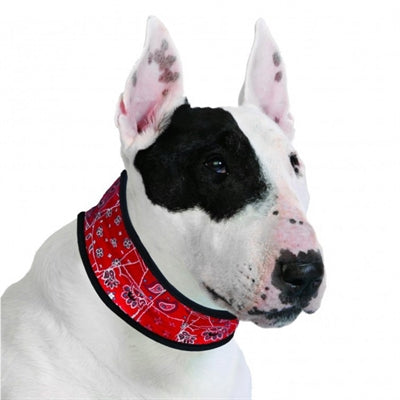 Aqua coolkeeper halsband rood western