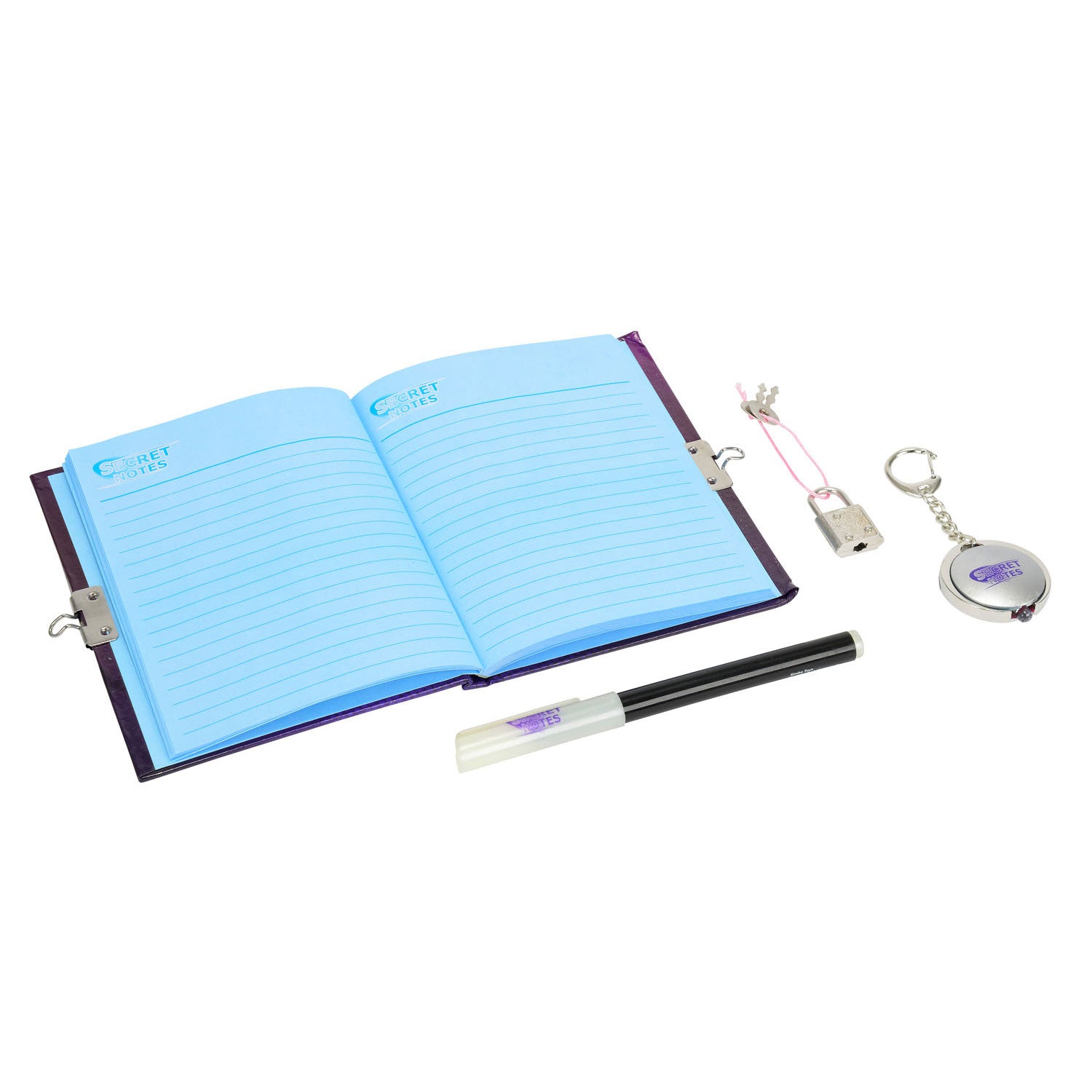 Dagboek met pengeheimschrift