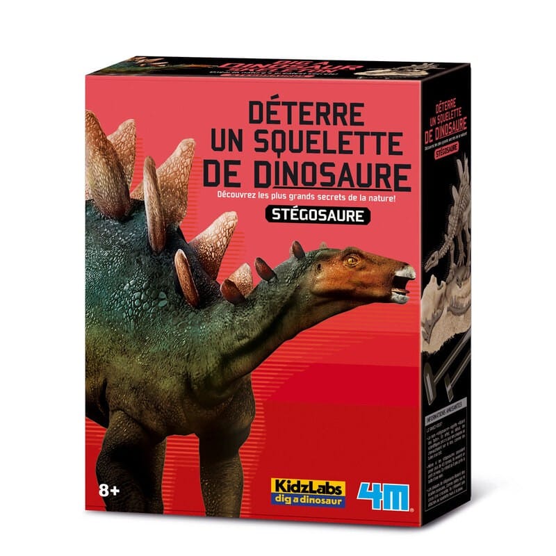 4m Graaf je eigen dinosaurus op stegosaurus kidzlabs
