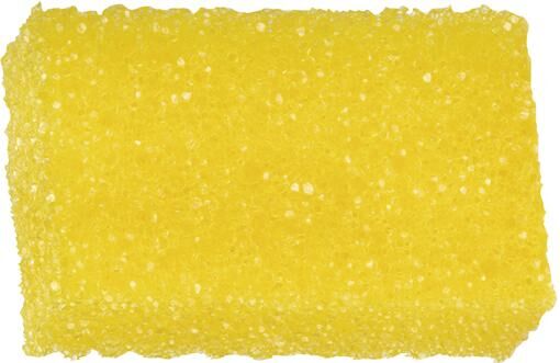 Autosol insectenspons insect foams