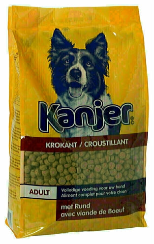 Kanjer krokodil
