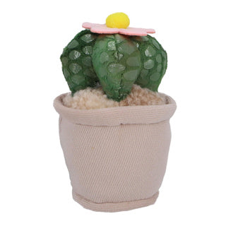 Pluchiez pluche plantjes 15 cm assorti | 16 stuks