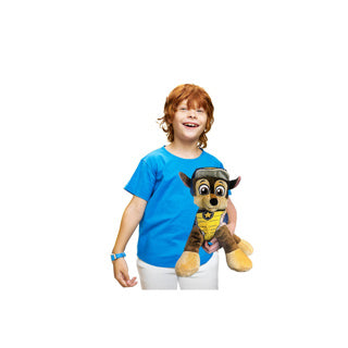 Paw Patrol pluche seizoens 50 cm met dierenassortiment
