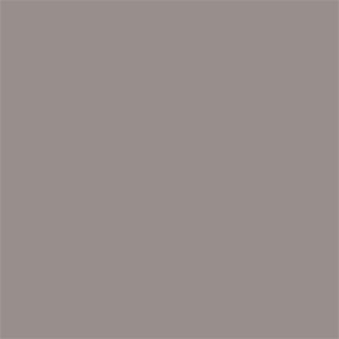 Superior achtergrondpapier 04 neutraal grijs 1,35 x 11m