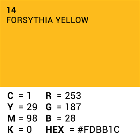 Papier de fond supérieur 14 Forsythia jaune 1,35 x 11 m