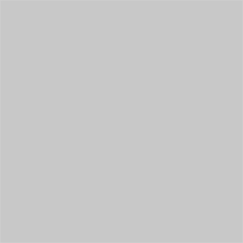 Superior achtergrondpapier 42 ochtendmist 1,35 x 11m