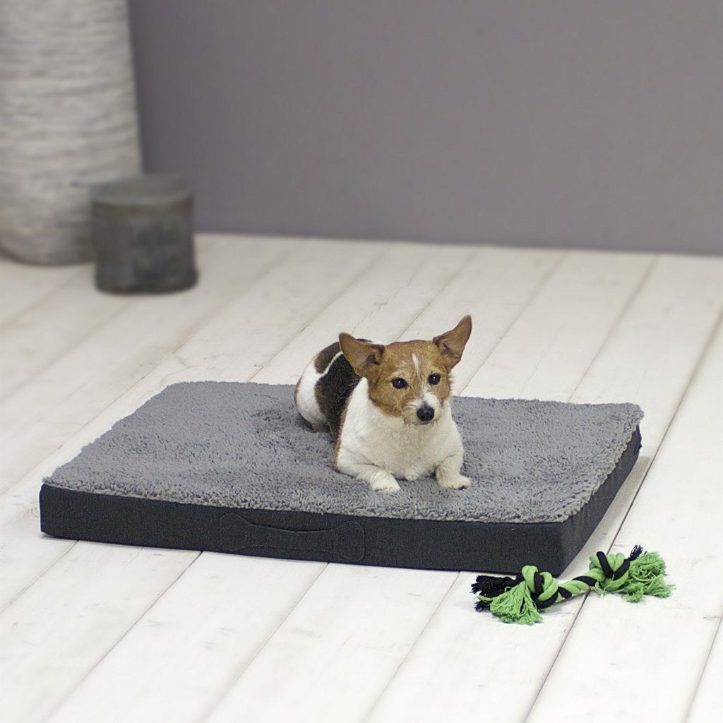 Sun garden buddy orthopedisch hondenkussen 72x50x8cm grijs antraciet