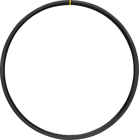 Mavic xc 425 disc 29 rim