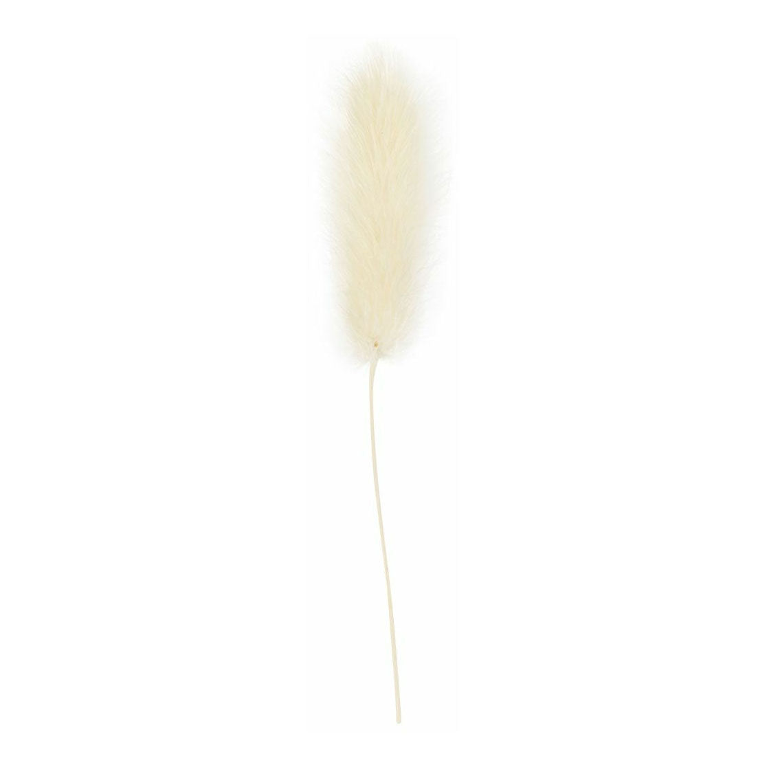 Creative company bunny tail grass, 6 pcs.